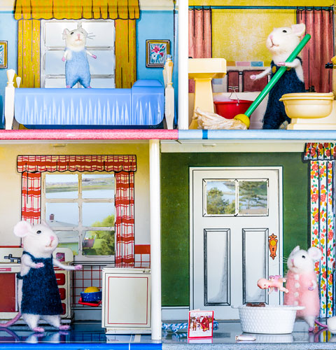 Mouse House